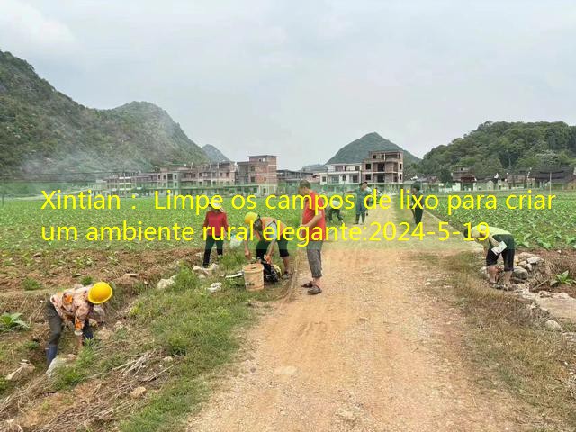 Xintian： Limpe os campos de lixo para criar um ambiente rural elegante